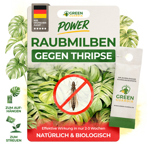 Raubmilben gegen thripse - gegen, |
