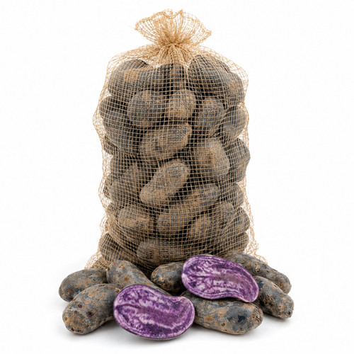 Kartoffel violetta festkochend - violetta,