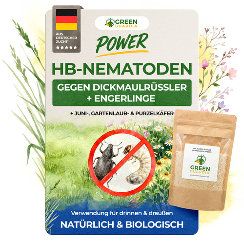 Nematoden gegen engerlinge - hb-nematoden,